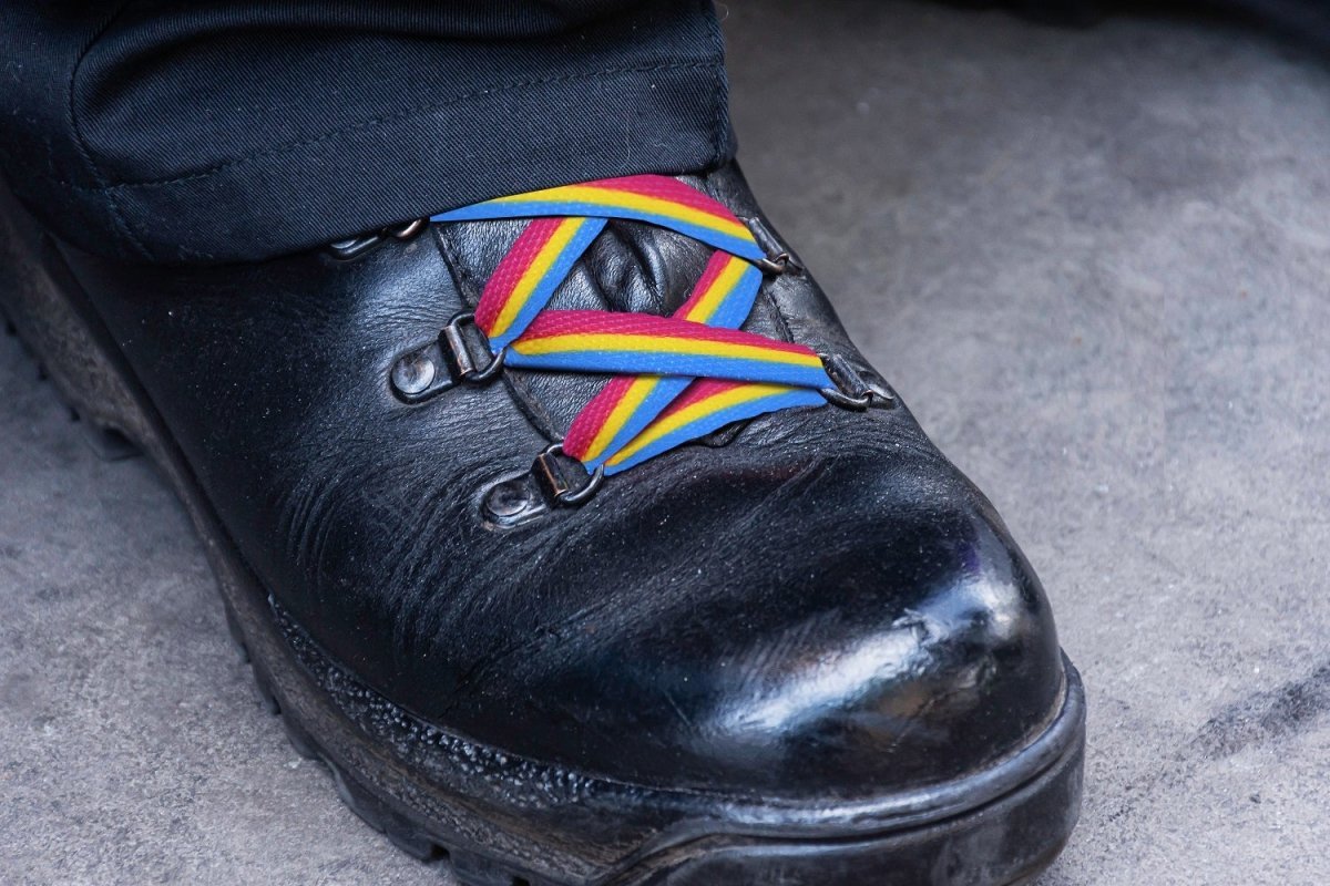 Pansexual Flag Shoe Laces (1 Pair)