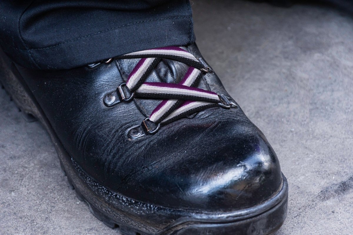 Asexual Flag Shoe Laces (1 Pair)