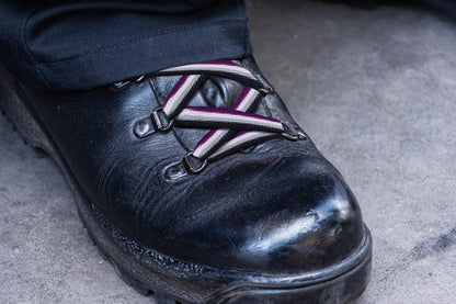 Asexual Flag Shoe Laces (1 Pair)
